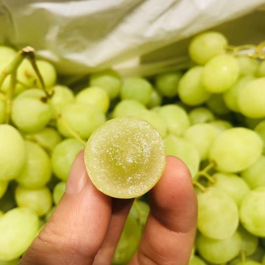 澳洲甜地球青提颗颗晶莹剔透口感嘎嘣儿脆如爆爆珠般好吃到让你欲罢不