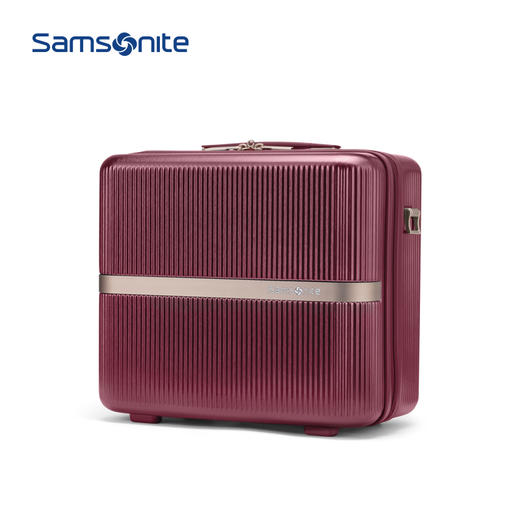 新秀丽MINTER网红摩登小流金箱可肩背迷你PC材质小拉杆箱HH5*005 商品图11