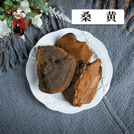 中药材批发 桑黄  1000克/500克/250克 商品图0