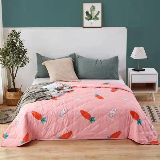 11 空调 夏凉被聚酯纤维 可水洗机洗的夏凉被 商品图1