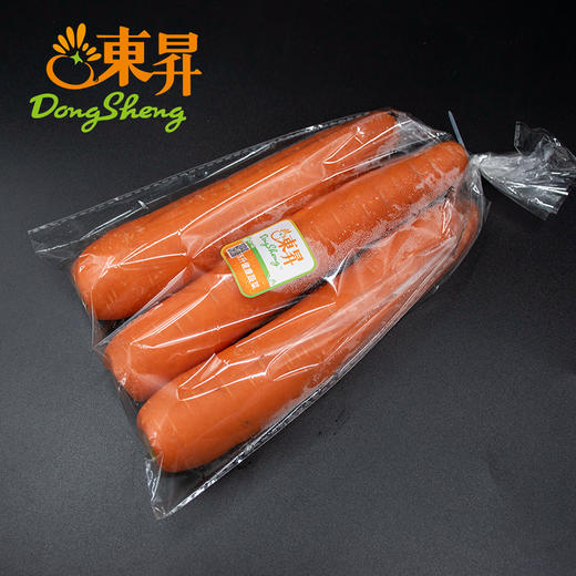 东升农场  胡萝卜红萝卜 青菜萝卜 广州蔬菜新鲜配送 400g 商品图4