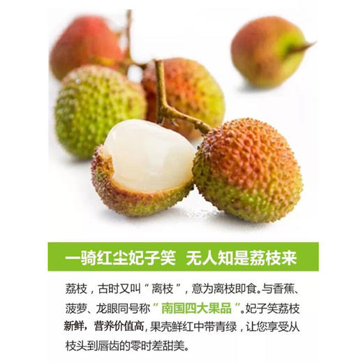 【11.9元2斤】妃子笑荔枝（1500739） 商品图0