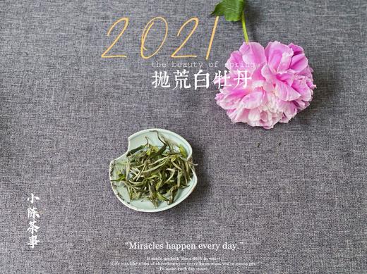 2021抛荒白牡丹来了（非预售那款），毫香浓郁到可以媲美白毫银针（100克罐装） 商品图6