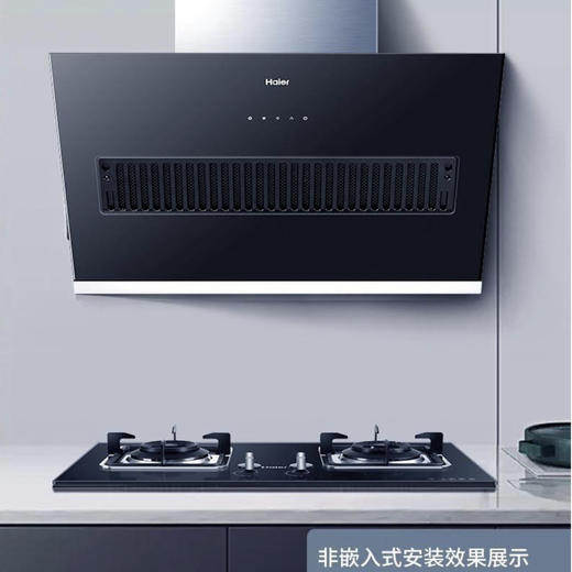 海尔（Haier）烟机CXW-219-C1900 商品图9