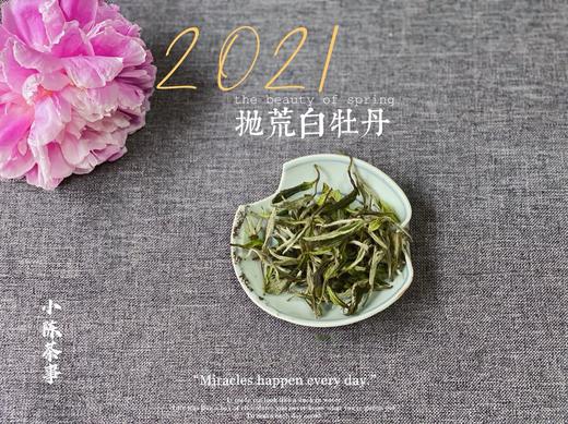 2021抛荒白牡丹来了（非预售那款），毫香浓郁到可以媲美白毫银针（100克罐装） 商品图3
