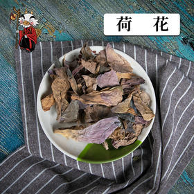 中药材批发 荷花 山东 1000克/500克