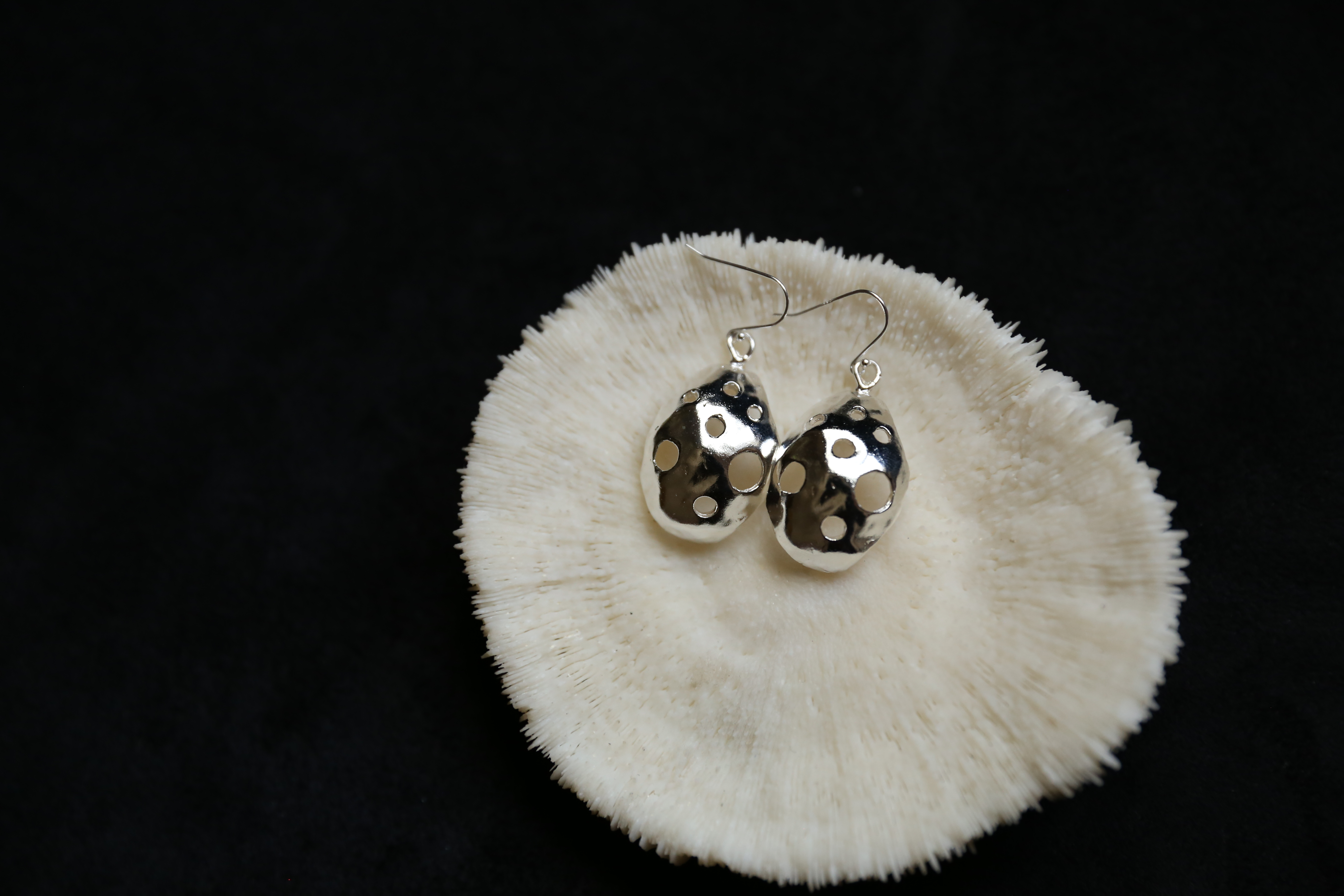 CHEZ BOQUE 庭园的馈赠系列原创手工925银耳环《漏网》