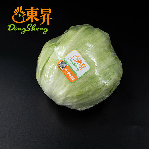 东升农场 西生菜 球圆生菜沙拉生菜 广州蔬菜新鲜配送 400g 商品图4