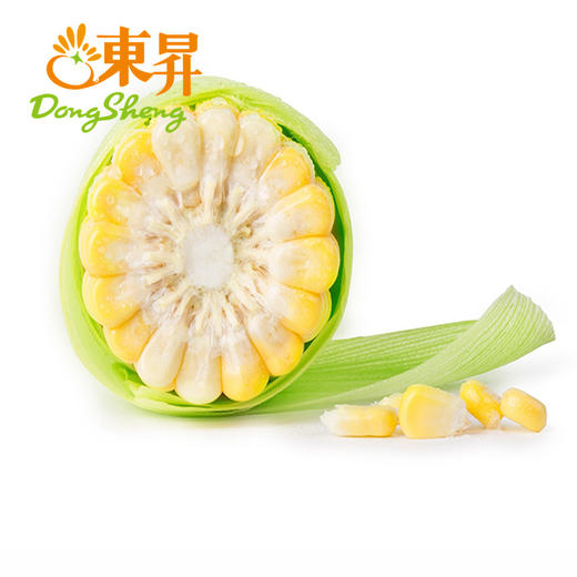 5斤 金银玉米棒子 包谷 粟米 广州蔬菜新鲜配送 5斤 商品图4