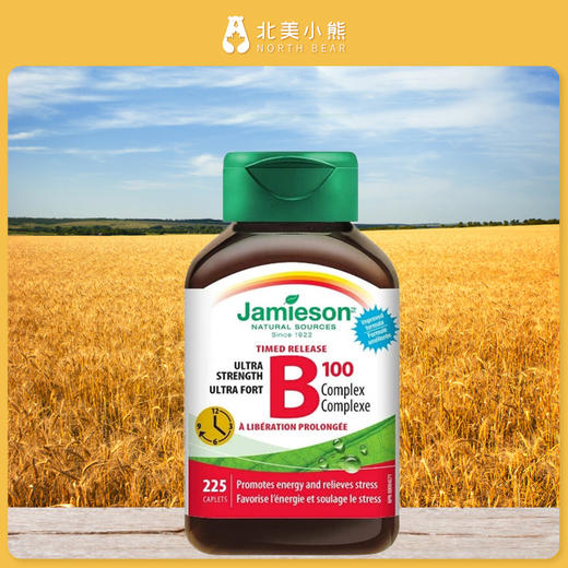 健美生Jamieson维生素B族B100缓释片240粒 #石家庄仓 商品图2