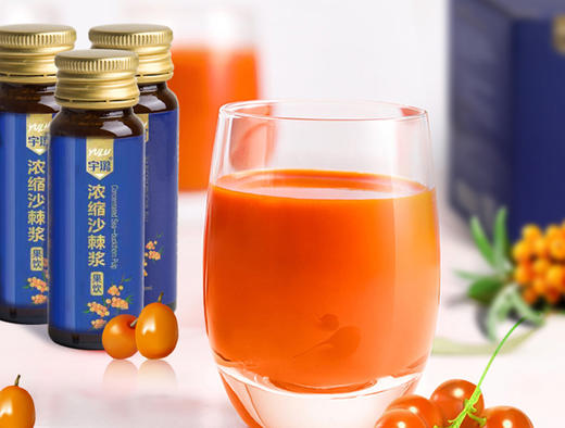 邱老师亲选【浓缩沙棘浆】有机沙棘果浓缩，维C小巨人 商品图0