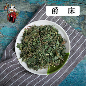 中药材批发   爵床 浙江1000克/500克