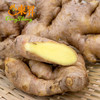 东升农场  生姜 黄姜 老姜 土姜 广州蔬菜新鲜配送 250g 商品缩略图3