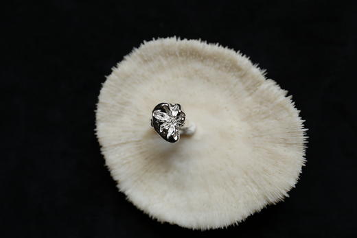 CHEZ BOQUE 庭园的馈赠系列原创手工925银戒指《心房客》 商品图1