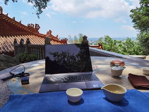 自然法则 ︳治病并不难，只是······· 商品图0