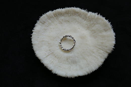 CHEZ BOQUE 庭园的馈赠系列原创手工925银戒指《藤堇0号》 商品图4