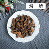 中药材批发   蛴螬  河南1000克/500克 商品缩略图0