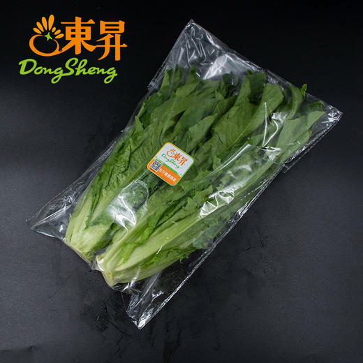 东升农场 油麦菜 莜麦菜 苦菜 牛俐生菜 广州蔬菜配送 300g 商品图4