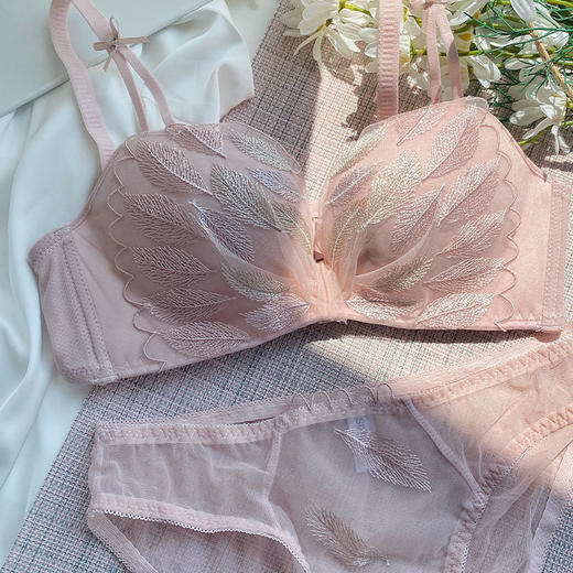 羽毛天空甜美刺绣内衣女小胸聚拢无钢圈上托收副乳防下垂调整型文胸内衣裤套装 商品图3