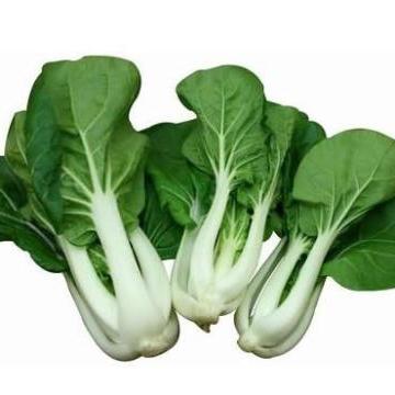 赞字村冠军白菜（±50g） 商品图0