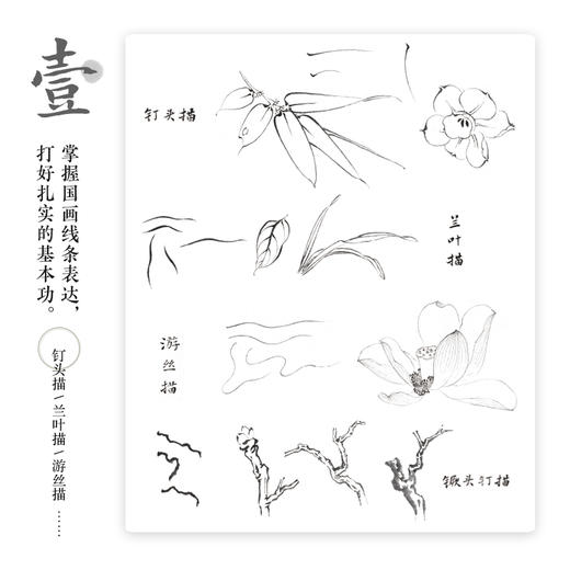 清雅之心 新田小写意 花鸟国画基础教程 商品图4