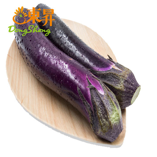 东升农场 紫红茄子 矮瓜 吊菜子 广州蔬菜新鲜配送 500g 商品图2