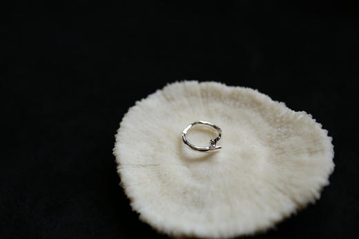 CHEZ BOQUE 庭园的馈赠系列原创手工925银戒指《独枝》 商品图3