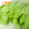 东升农场 西生菜 球圆生菜沙拉生菜 广州蔬菜新鲜配送 400g 商品缩略图3
