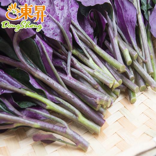 东升农场紫贝菜观音菜血皮菜紫背天葵广州新鲜蔬菜200g