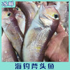 东海斧头鱼 商品缩略图2