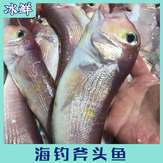 东海斧头鱼 商品图2