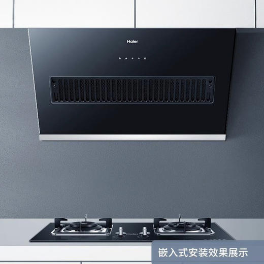 海尔（Haier）烟机CXW-219-C1900 商品图8