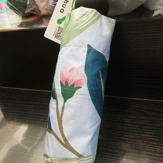 杂雨伞 商品图0