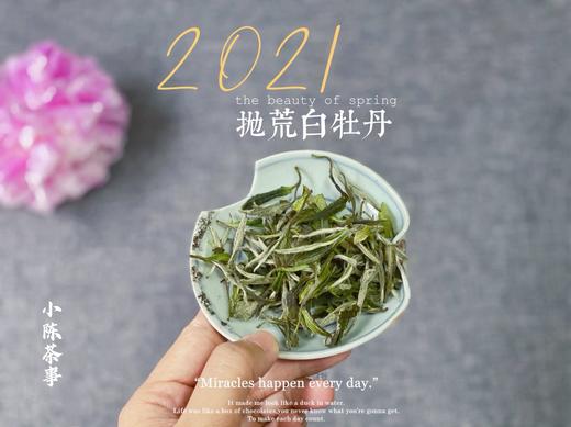 2021抛荒白牡丹来了（非预售那款），毫香浓郁到可以媲美白毫银针（100克罐装） 商品图5