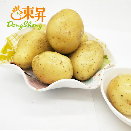 东升农场  迷你薯仔小土豆 小马铃薯 广州蔬菜新鲜配送 300g 商品图1