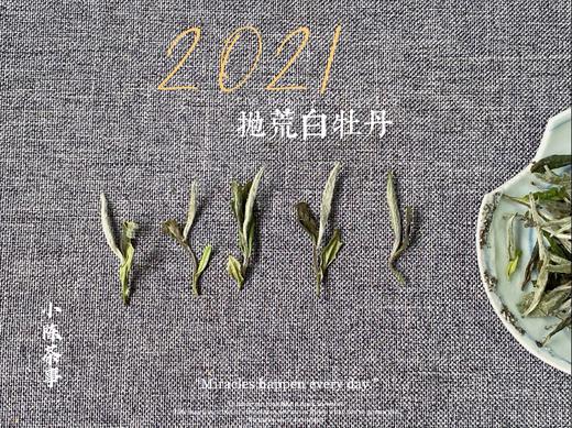 2021抛荒白牡丹来了（非预售那款），毫香浓郁到可以媲美白毫银针（100克罐装） 商品图8