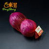 东升农场 红洋葱 紫洋葱洋葱头圆葱 广州蔬菜新鲜配送 500g 商品缩略图4