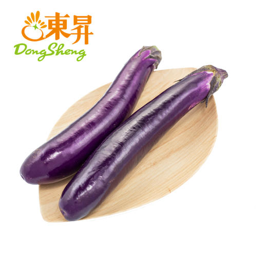 东升农场 紫红茄子 矮瓜 吊菜子 广州蔬菜新鲜配送 500g 商品图1