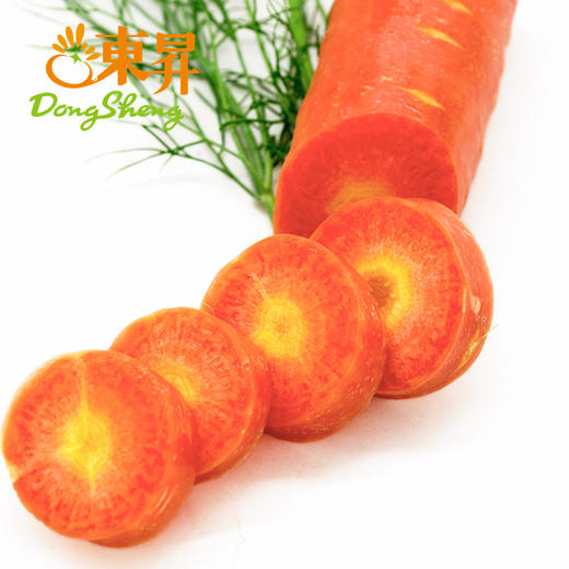 东升农场   水果胡萝卜红萝卜 甜脆榨汁 广州蔬菜新鲜配送 500g 商品图2