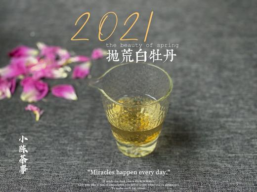 2021抛荒白牡丹来了（非预售那款），毫香浓郁到可以媲美白毫银针（100克罐装） 商品图13