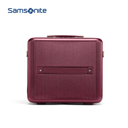 新秀丽MINTER网红摩登小流金箱可肩背迷你PC材质小拉杆箱HH5*005 商品图4