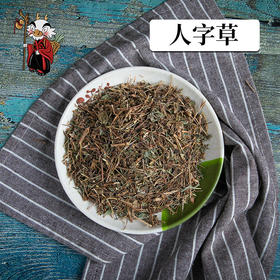中药材批发 人字草 1000克/500克