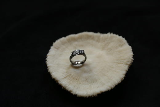 CHEZ BOQUE 覆盖系列原创手工925银戒指《布衣》 商品图3