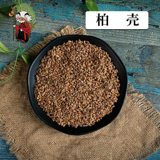 中药材批发柏壳1000克500克