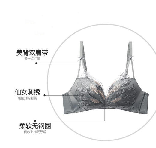 羽毛天空甜美刺绣内衣女小胸聚拢无钢圈上托收副乳防下垂调整型文胸内衣裤套装 商品图4
