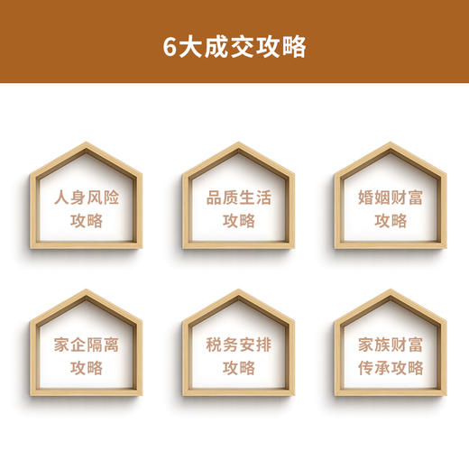 大额保单成交攻略 商品图3