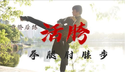 活胯，开胯后练活胯，提升拳腿肘膝步 商品图0