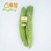 东升农场 珍珠苦瓜  凉瓜 广州蔬菜新鲜配送 500g 商品缩略图4