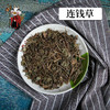 中药材批发 连钱草 福建 1000克/500克 商品缩略图0
