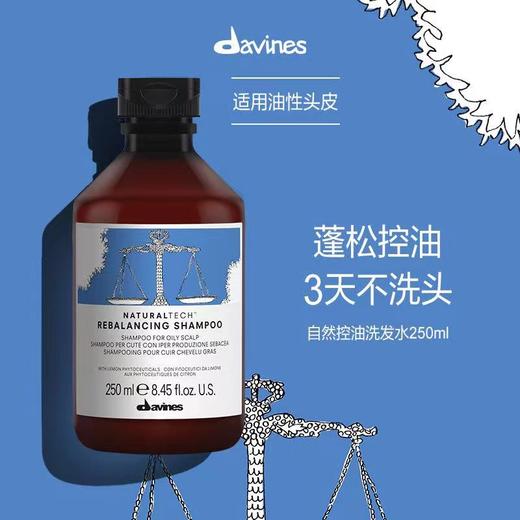 (蓬松控油)大卫尼斯 自然控油 洗发水（250ml/1000ml) 商品图1
